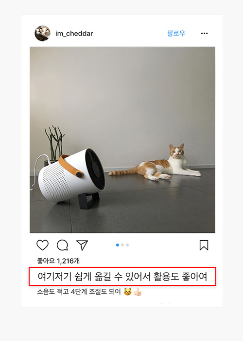 insta-review